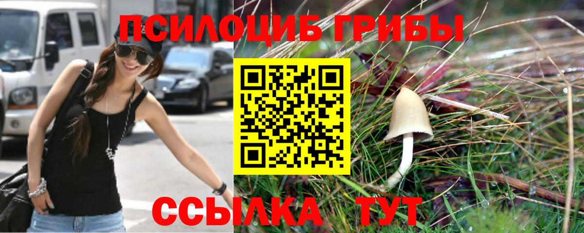 Галлюциногенные грибы Cubensis  Вход с VPN  где продают наркотики  Тамбов  Псилоцибиновые грибы Magic Shrooms 